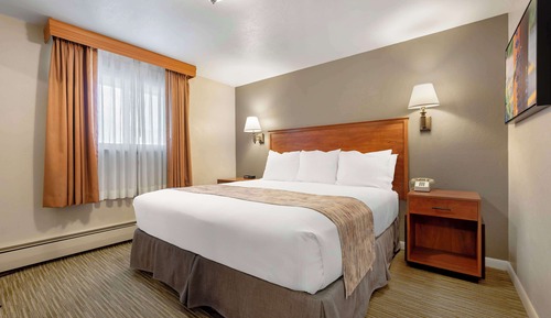 Habitación estándar, 1 cama de matrimonio grande, no fumadores, frigorífico (Pet Friendly)