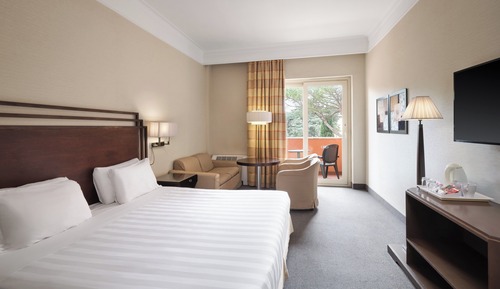 Habitación estándar, 1 cama de matrimonio grande con sofá cama