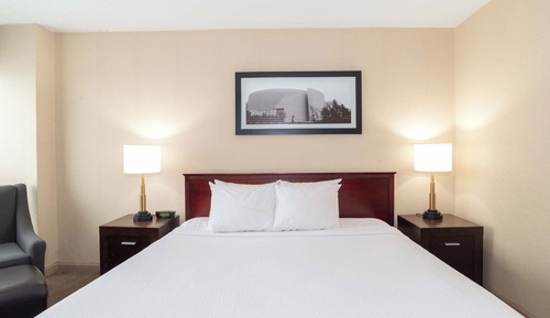 Habitación estándar, 1 cama de matrimonio grande