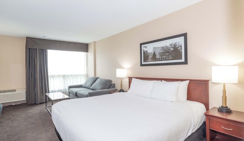 Habitación estándar, 1 cama de matrimonio grande con sofá cama