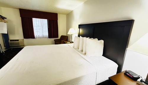 Habitación estándar, 1 cama de matrimonio grande