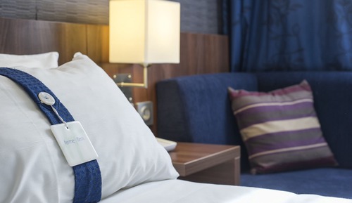 Habitación estándar, 1 cama doble, accesible para personas con discapacidad (Roll-In Shower)