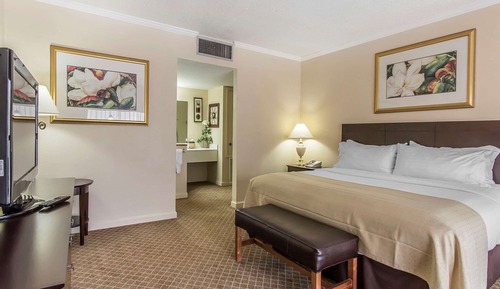 Suite, 1 cama de matrimonio grande, no fumadores