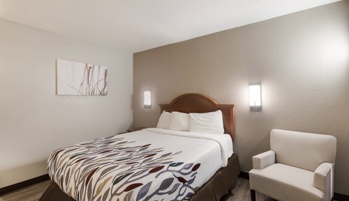 Habitación Deluxe, 1 cama de matrimonio, no fumadores