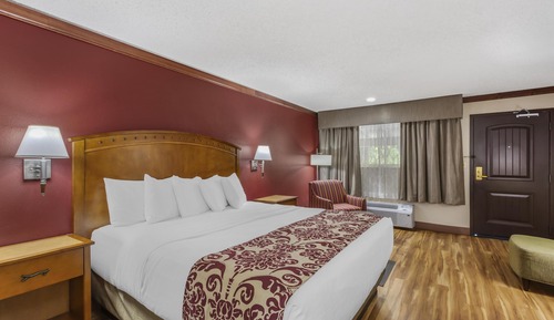 Habitación estándar, 1 cama de matrimonio grande, no fumadores, frigorífico