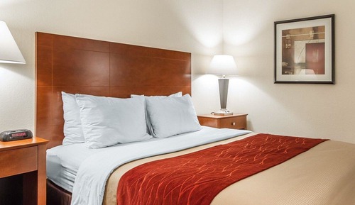 Habitación estándar, 1 cama de matrimonio, no fumadores (Accessible)
