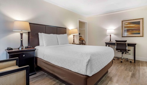 Habitación estándar, 1 cama de matrimonio, accesible para personas con discapacidad, no fumadores