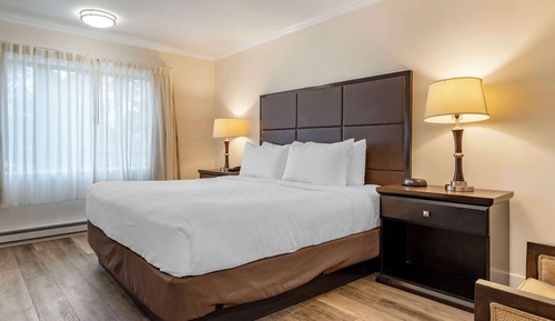 Habitación estándar, 1 cama de matrimonio, accesible para personas con discapacidad (Walk-in Shower)
