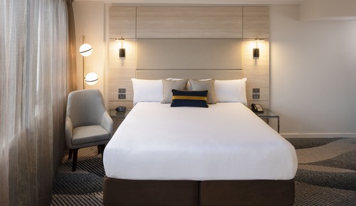 Suite ejecutiva, 1 cama de matrimonio grande