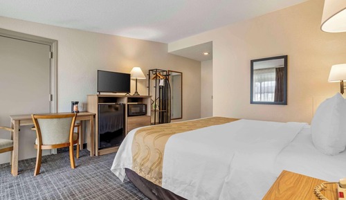 Habitación estándar, 1 cama de matrimonio grande, no fumadores