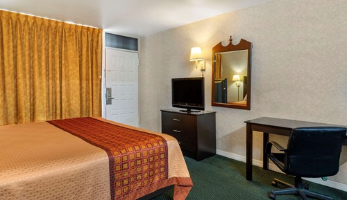Habitación estándar, 1 cama de matrimonio grande, no fumadores