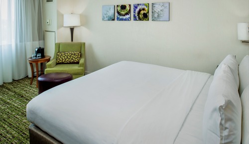 Habitación, 1 cama de matrimonio grande, no fumadores (Mobility Accessible, Roll-in Shower)