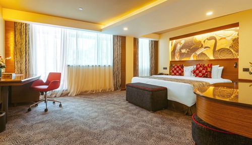 Suite estudio superior