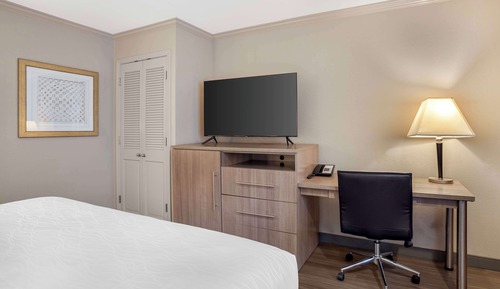 Habitación estándar, 1 cama de matrimonio grande, no fumadores, frigorífico y microondas