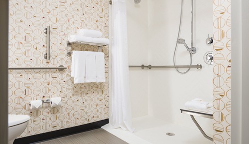 Habitación estándar, 1 cama de matrimonio (Communications, Roll-In Shower)