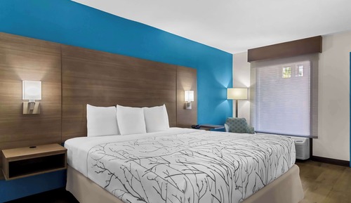 Habitación estándar, 1 cama de matrimonio grande, accesible para personas con discapacidad