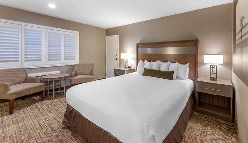 Habitación estándar, 1 cama de matrimonio grande, no fumadores, frigorífico y microondas