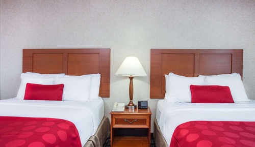 Habitación estándar, 2 camas de matrimonio, no fumadores
