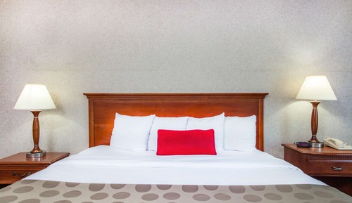 Habitación estándar, 1 cama de matrimonio grande, no fumadores
