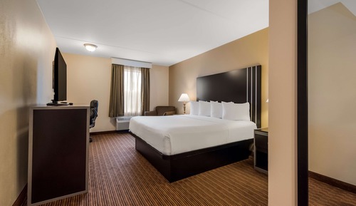 Habitación estándar, 1 cama de matrimonio grande, no fumadores, frigorífico y microondas