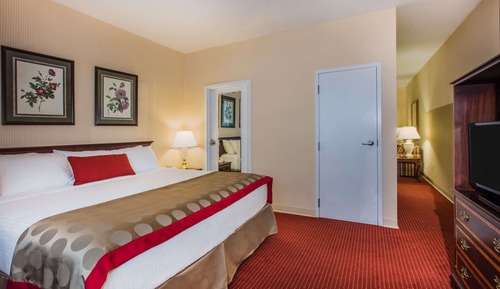 Suite, 1 cama de matrimonio grande, no fumadores