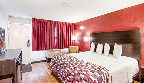 Habitación Deluxe, 1 cama de matrimonio, accesible para personas con discapacidad (Roll-In Shower)