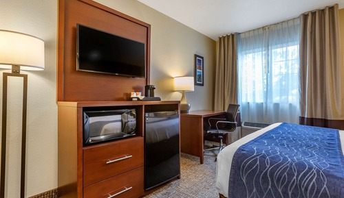 Habitación estándar, 1 cama de matrimonio grande, no fumadores