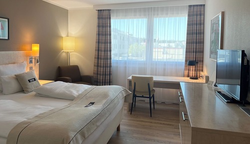 Habitación estándar, 1 cama de matrimonio grande