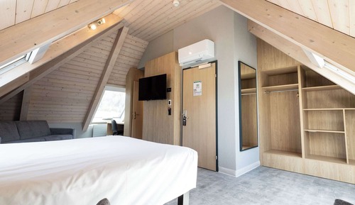 Habitación ejecutiva, 1 cama doble con sofá cama