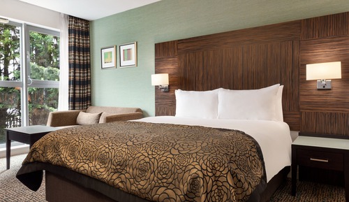 Habitación Premium, 1 cama de matrimonio con sofá cama
