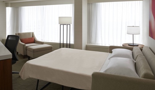 Suite, 1 cama de matrimonio grande con sofá cama