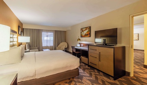 Suite ejecutiva, 1 cama de matrimonio grande, no fumadores