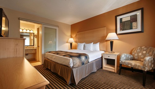 Habitación estándar, 1 cama de matrimonio grande, no fumadores, frigorífico