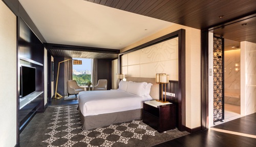 Suite presidencial, 1 cama individual, fumadores