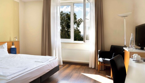 Habitación estándar, 1 cama doble, vistas al parque