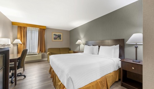 Habitación estándar, 1 cama de matrimonio grande, no fumadores, frigorífico y microondas