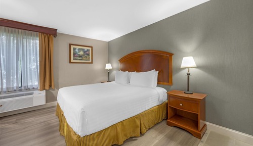 Habitación estándar, 1 cama de matrimonio grande, no fumadores, bañera de hidromasaje