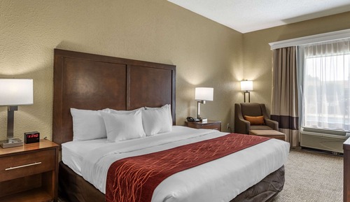 Habitación estándar, 1 cama de matrimonio grande, no fumadores