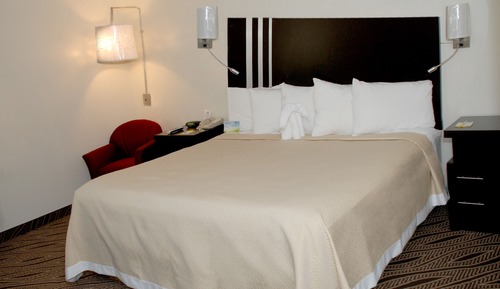 Habitación estándar, 1 cama de matrimonio grande