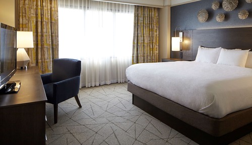 Suite Premium, accesible para personas con discapacidad, no fumadores (Roll-in Shower)