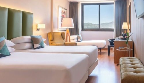 Habitación Confort (Extra Bed 3 adults)