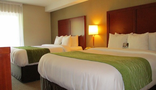Habitación estándar, 2 camas de matrimonio, no fumadores, planta baja