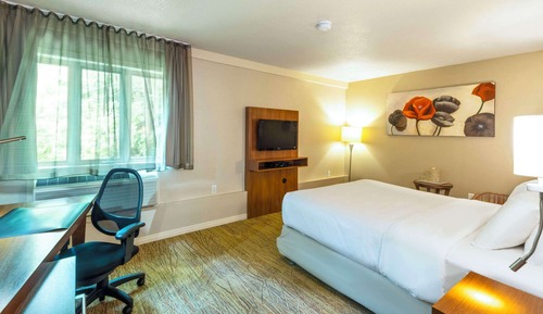 Habitación estándar, 1 cama de matrimonio grande, no fumadores