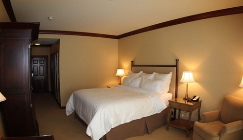 Suite Deluxe, 1 cama de matrimonio con sofá cama, vistas al jardín