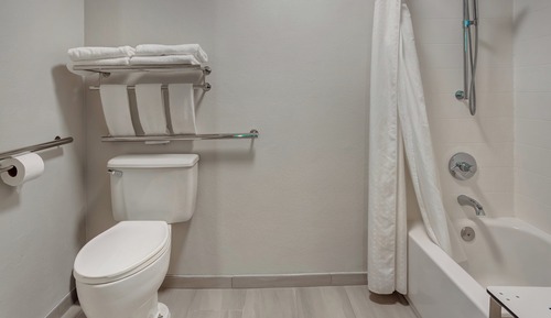Habitación estándar, 2 camas individuales, accesible en silla de ruedas (Communications, Mobility)