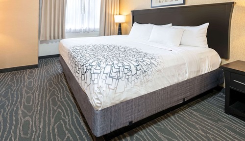 Suite estudio Deluxe, 1 cama de matrimonio, no fumadores