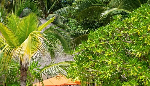 Beachfront Infinity Pool Villa - Enjoy a Sunset Tea for minimum of 6-nights, May 5-Sep 28, 25