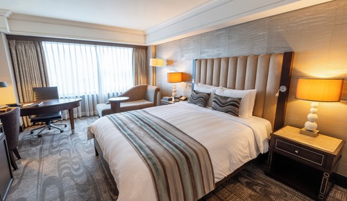 Suite junior, 1 cama doble