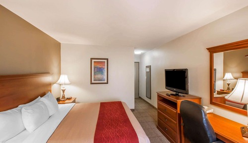 Habitación estándar, 1 cama de matrimonio grande, no fumadores