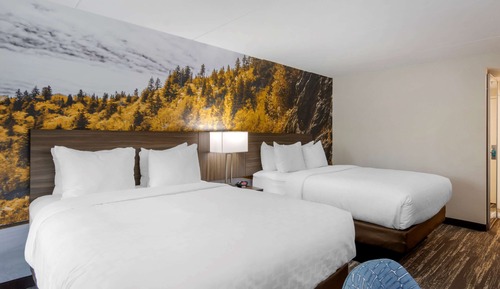 Habitación estándar, 2 camas de matrimonio, no fumadores